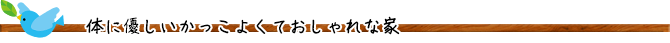 体に優しいかっこよくておしゃれな家